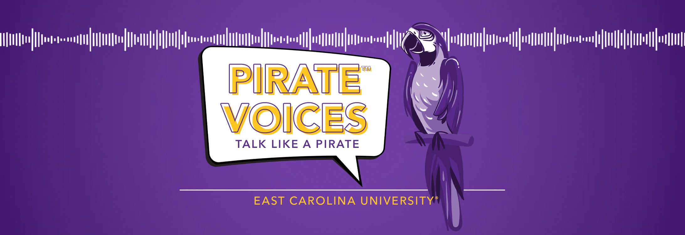 Pirate Voices, a Talk Like a Pirate series