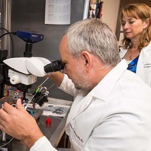 Associate Professor Stefan Clemens, along with associate professor Kori Brewer, examine a mouse’s spinal column in their lab at the Brody School of Medicine. Clemens’ work with mouse models was essential in helping him develop his Restless Legs Syndrome treatment.