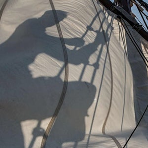 More than a hundred men, women, and children sailed from England to North Carolina in 1587 to build a new settlement. Three years later they had vanished, leaving few clues of their fate. Photograph by Mark Thiessen, National Geographic