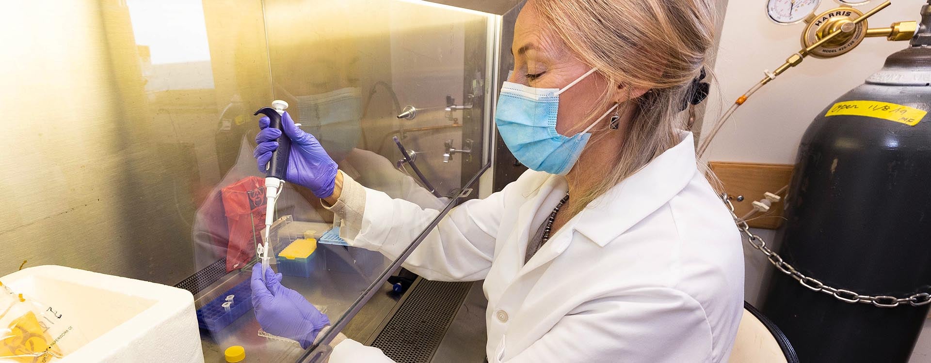 Dr. Rachel Roper, a professor in the Brody School of Medicine’s Department of Microbiology and Immunology, tests air samples collected from a campus dormitory for the coronavirus that causes COVID-19. 