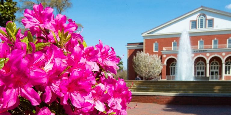 East Carolina University's online graduate programs in business, criminal justice, education and nursing have been recognized as best in the nation in a new U.S. News & World Report ranking.