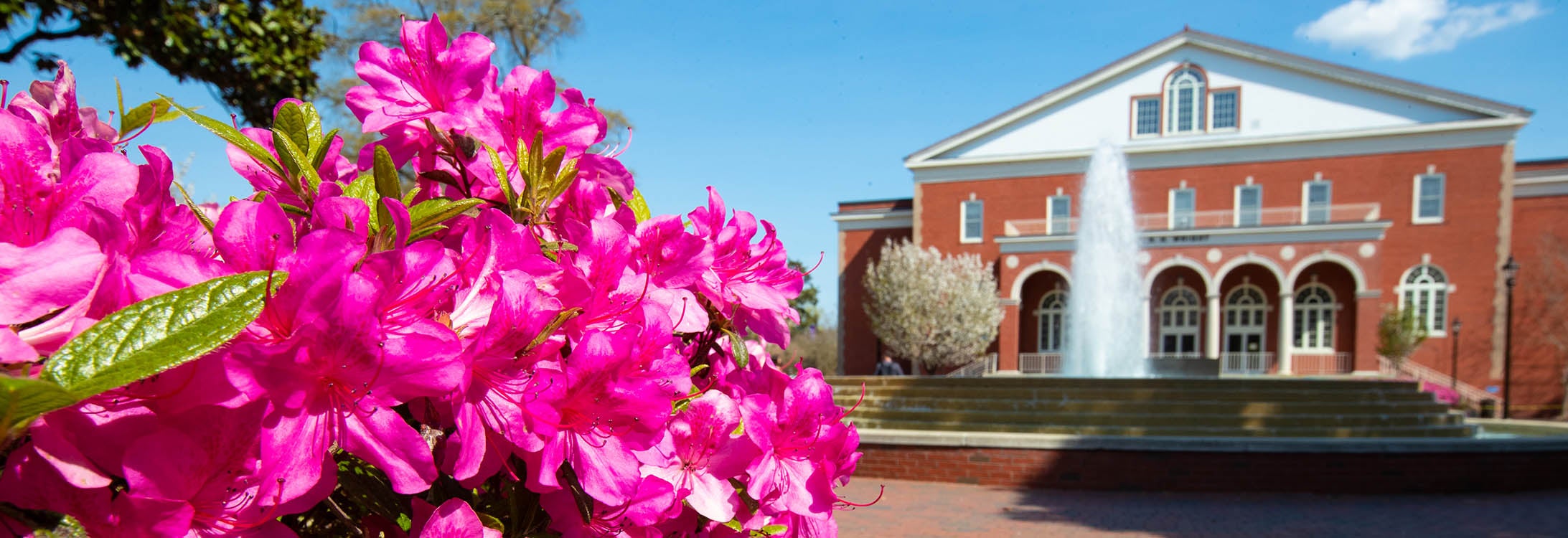 East Carolina University's online graduate programs in business, criminal justice, education and nursing have been recognized as best in the nation in a new U.S. News & World Report ranking.