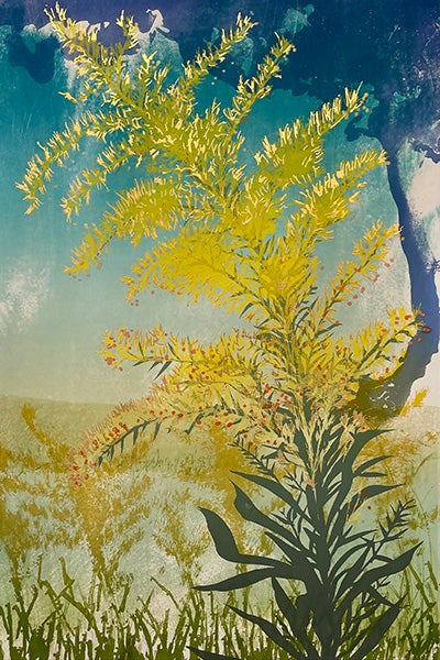 Berman's printmaking artwork of a goldenrod flower.