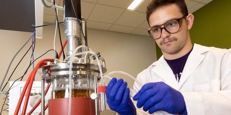 Luciano DeRose, a junior bioprocess engineering major from Titusville, Pennsylvania, works in a lab in the new Life Sciences and Biotechnology Building.