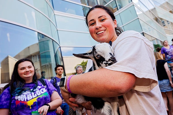 A baby goat is held in the library courtyard for goat therapy during exam week.