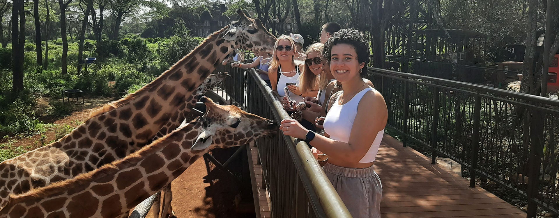 ECU students and staff visit a giraffe center. 