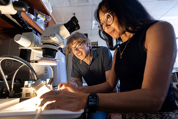 Alexander Murashov and Elena Pak, his wife and research partner, study the effects of ancestral diet in his lab in the Brody Medical Sciences Building.