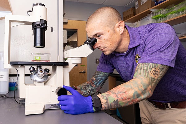 Dr. Kelsey Fisher-Wellman looks at research samples under a microscope at his lab at the East Carolina Heart Institute.