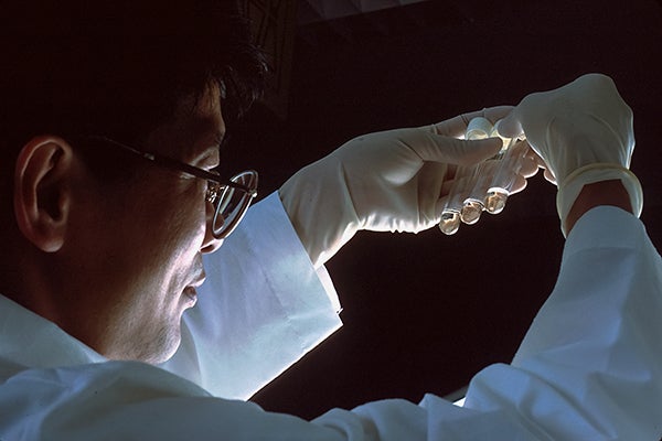 Scientist works with medical collections in a lab.