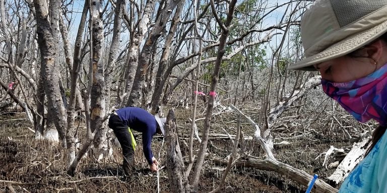 East Carolina University researchers are at the forefront of efforts to better understand the interactions between coastal ecosystems, communities and storm impacts.