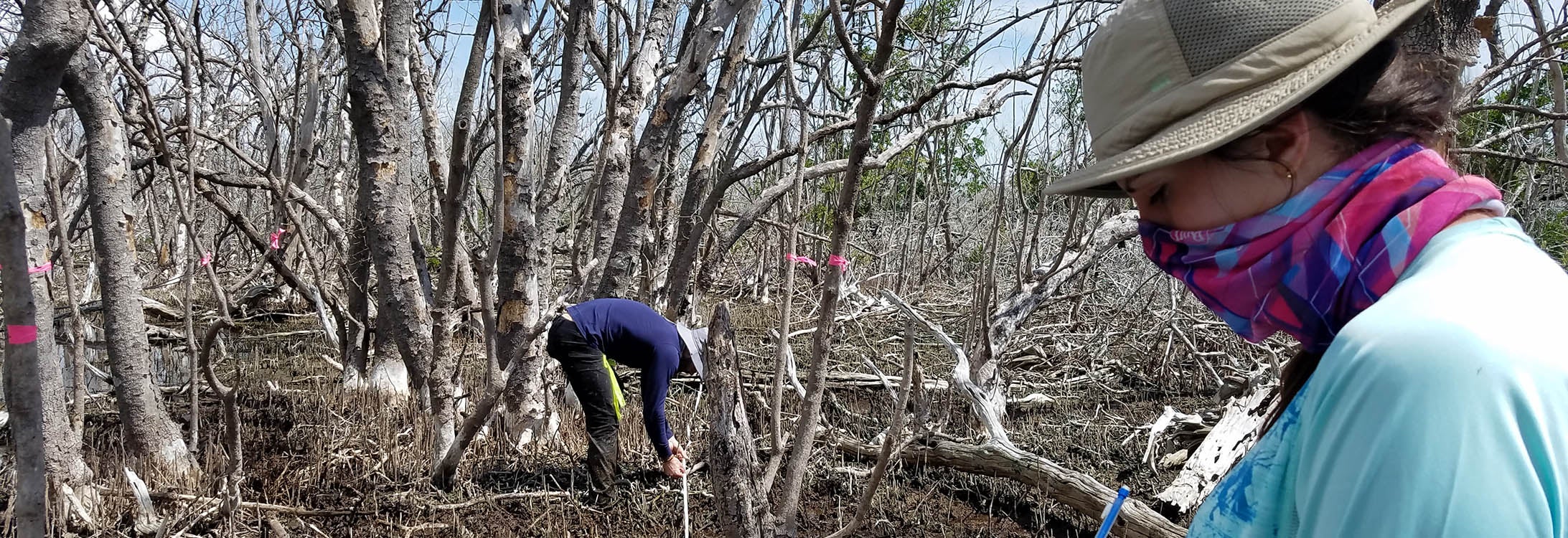 East Carolina University researchers are at the forefront of efforts to better understand the interactions between coastal ecosystems, communities and storm impacts.