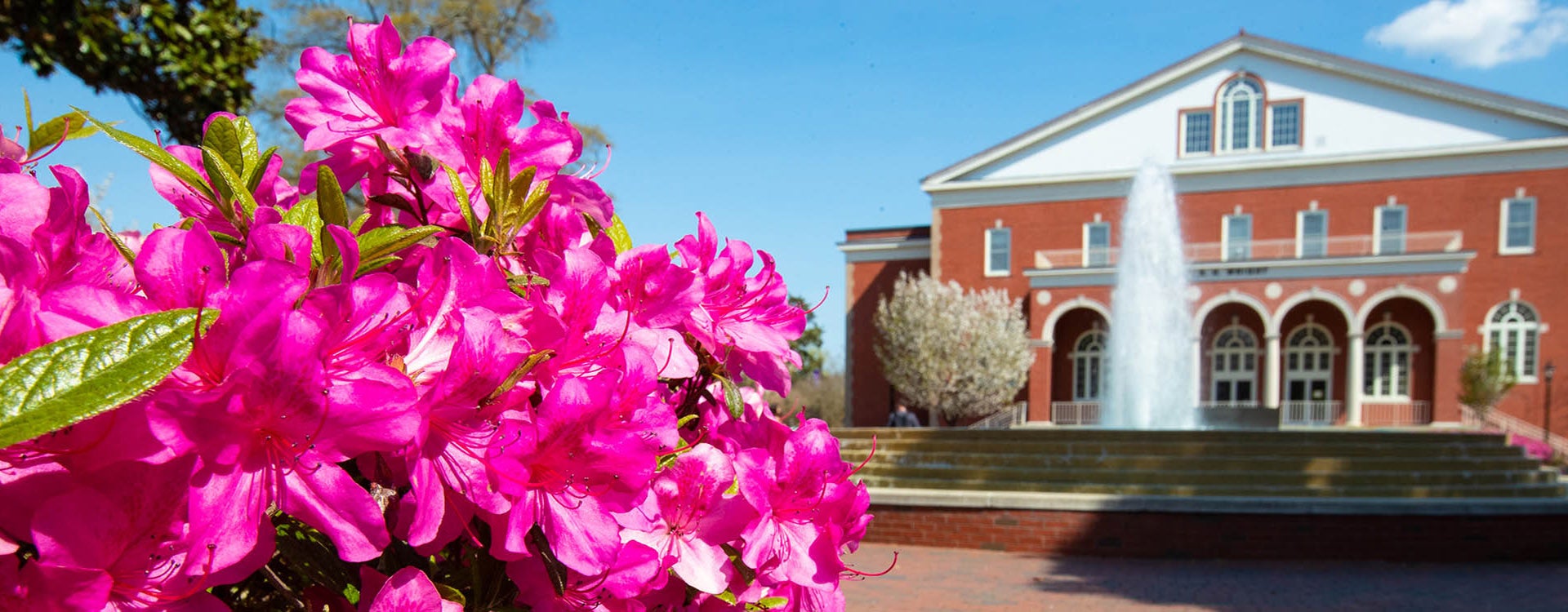 East Carolina University's online graduate programs in business, criminal justice, education and nursing have been recognized as best in the nation in a new U.S. News & World Report ranking.