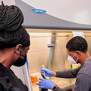 Markis’ Hamilton, an undergraduate student from Fayetteville State University, works in a hood in the East Carolina University Life Sciences and Biotechnology Building. A North Carolina GlaxoSmithKline Foundation grant will support years of minority health promotion graduate student education at ECU. 