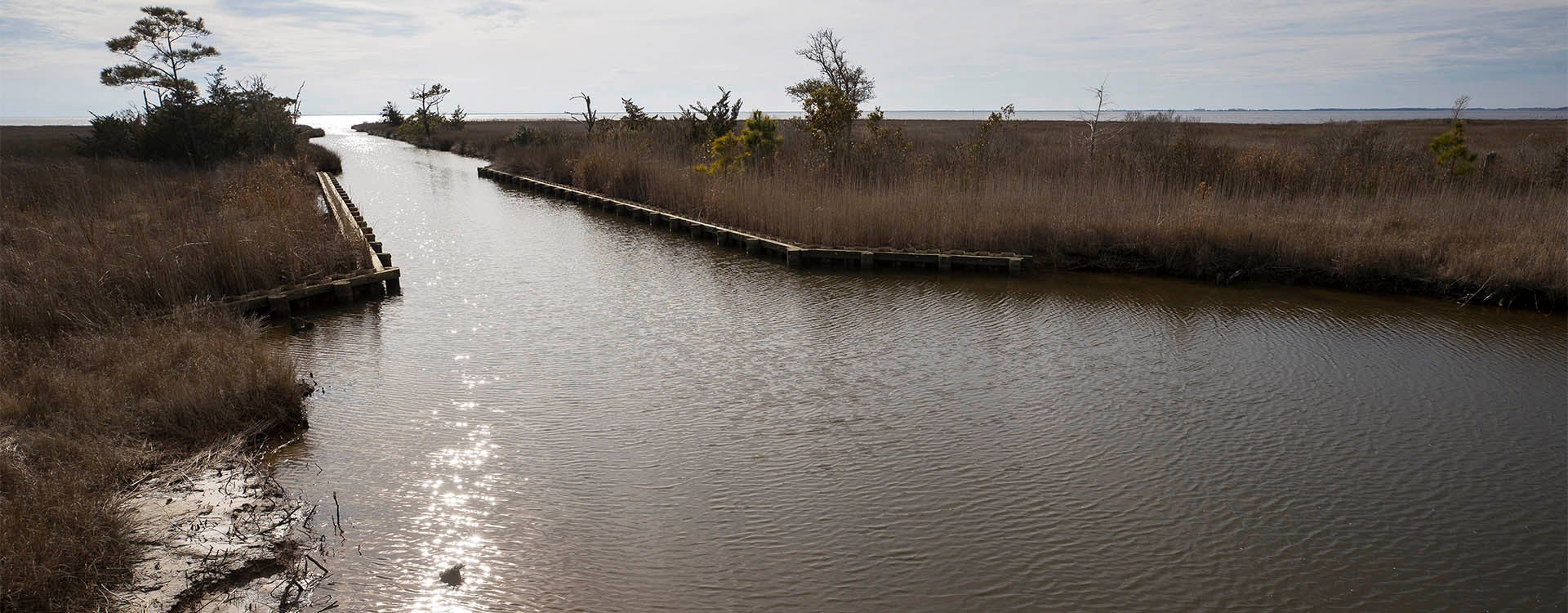 North Carolina's coastal counties will be a focus of the $1.39 million grant.