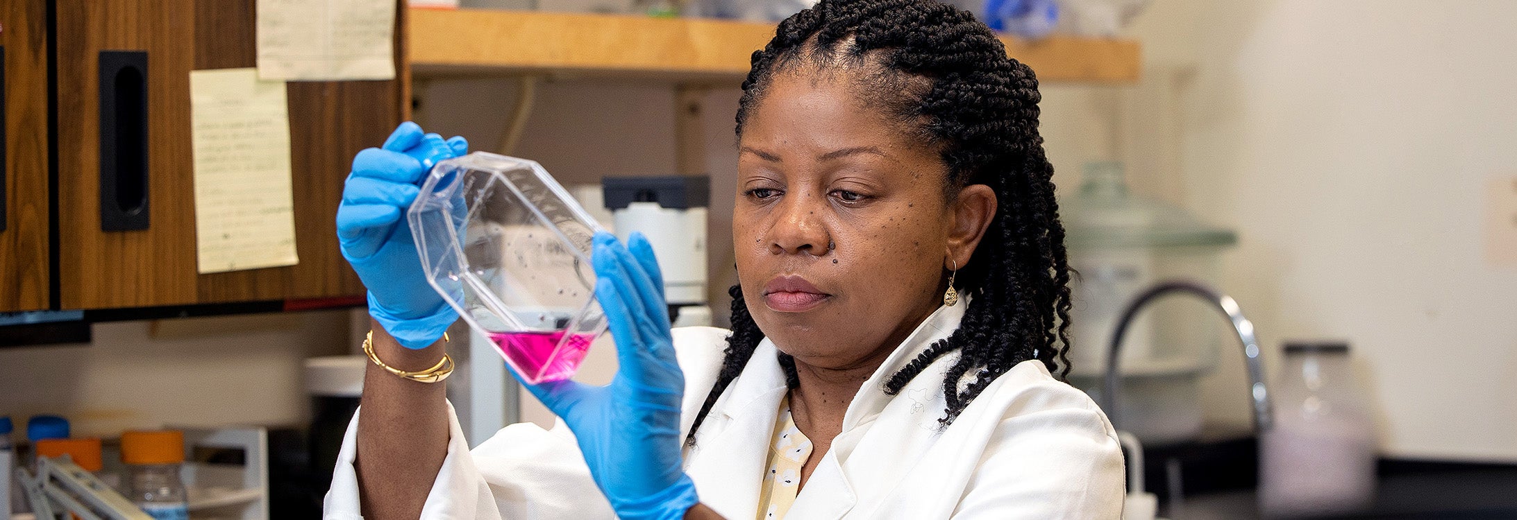 Rukiya Van Dross is developing a first-of-its-kind immunotherapy for cancer and is the founder of Claradele Pharmaceuticals. Research like hers could benefit from the work of NCInnovation, a nonprofit created to foster innovation in North Carolina.