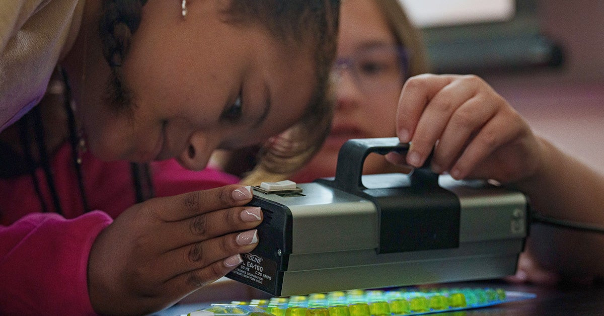 SUMMER CAMP News Services ECU