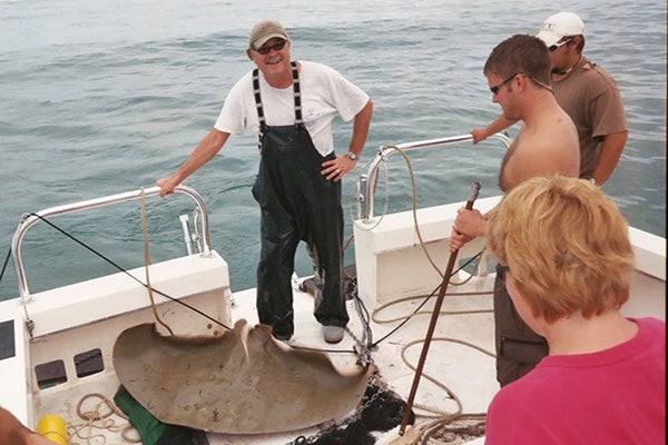 Luczkovich and an ECU ichthyology class, in the Department of Biology, found and identified a smooth butterfly ray off Shackleford Banks, NC.