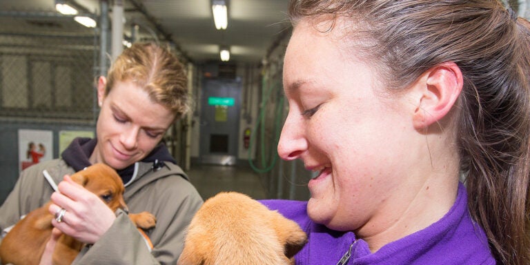 Melanie Sartore-Baldwin, left, smiles as she holds a puppy in 2014 at the Pitt County Animal Shelter during the first year of East Carolina University’s Kinesiology 1010 fitness walking course. (ECU News photos)