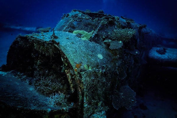 Color photograph of an airplane underwater, with sea life growing in the nose and on the outside of the plane.