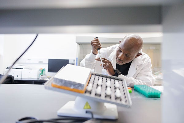 Lovens Paul uses a dropper to add solution to a test tube in a lab. A blurred tray of tubes sits on a counter in front of him.