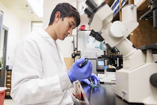 Noah Sampson, wearing a white lab coat and blue gloves, adds a sample to a slide. A microscope sits on a counter in the science lab.