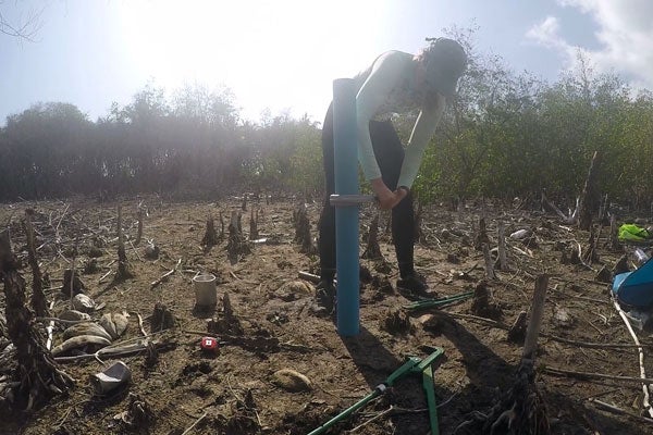 A woman standing among stumps in a forest uses a wrench to twist a blue PVC pipe.