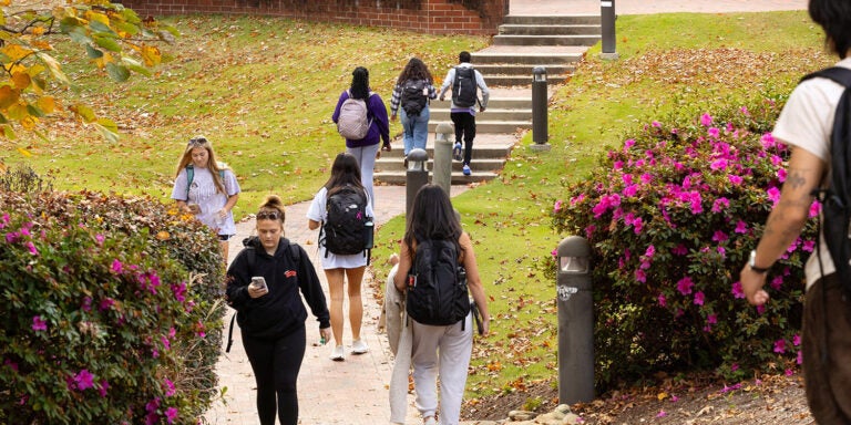 Alt Text description: Several young adults walk along a brick path.