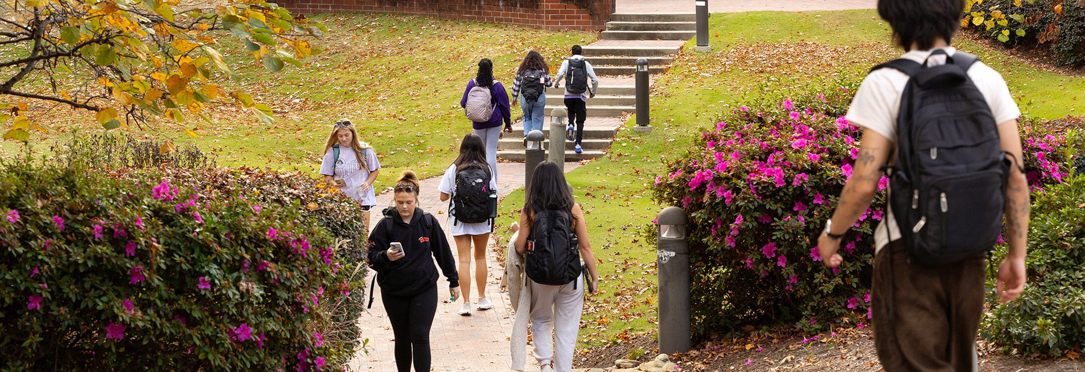 Alt Text description: Several young adults walk along a brick path.