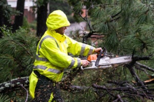 A man wearing a yellow rainsuit cuts a tree limb using a chainsaw. 